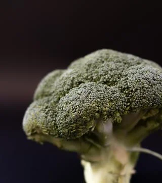 Broccoli isolated on black background 写真素材