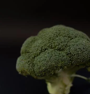 Broccoli isolated on black background Stock Photos