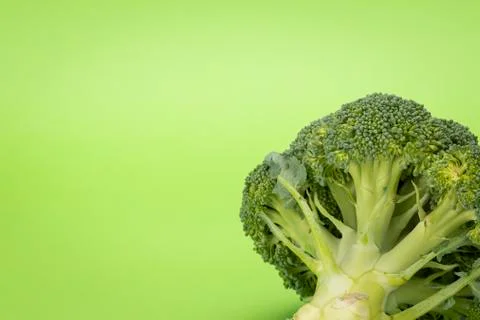 Broccoli isolated on a green background Stock Photos