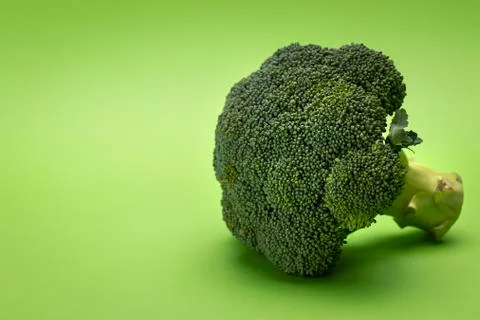 Broccoli isolated on a green background Stock Photos