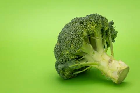 Broccoli isolated on a green background Stock Photos