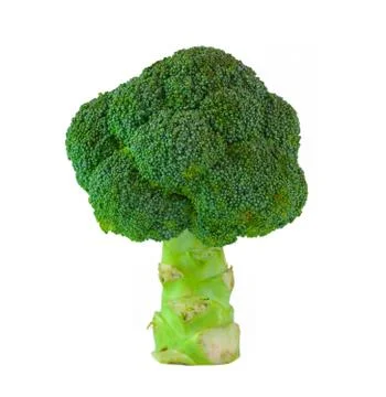 Broccoli isolated Stock Photos