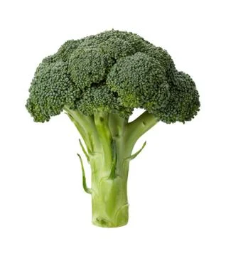 Broccoli isolated Stock Photos