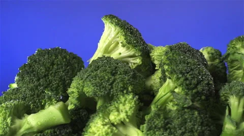 Broccoli isolated rotating on blue background Stock Footage 62375850