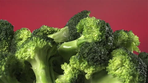 Broccoli isolated rotating on red background Video stock 62377898