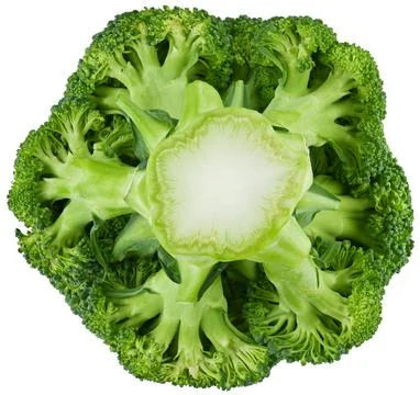 Broccoli isolated on a white background, bottom view. Completely in focus. Foto stock