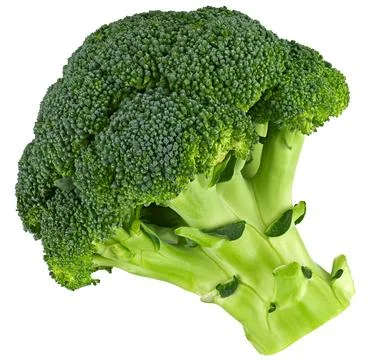 Broccoli isolated on a white background. Completely in focus. Stock Photos