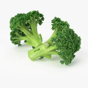 Broccoli isolated on white background Illustrazione stock