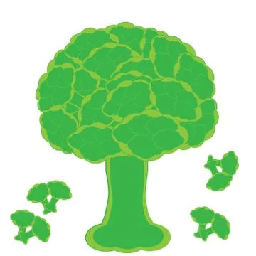 Broccoli isolated on white background Stock Illustration