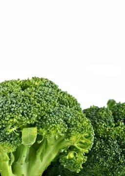 Broccoli isolated on white background 库存照片