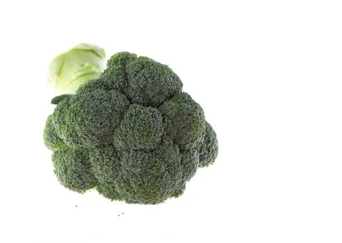 Broccoli isolated on white background Stock Photos
