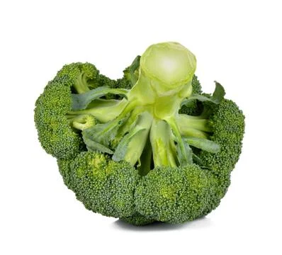 Broccoli isolated on the white background Stock Photos