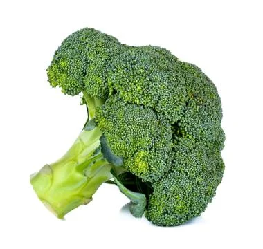 Broccoli isolated on the white background Stock Photos