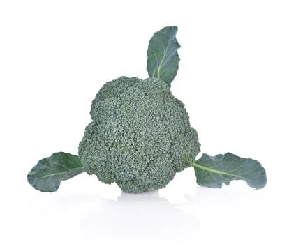 Broccoli isolated on white background Stock Photos