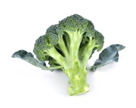 Broccoli isolated on white background Stock Photos