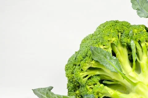 Broccoli isolated on white background Stock Photos