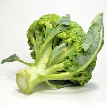 Broccoli isolated on white background Stock Photos