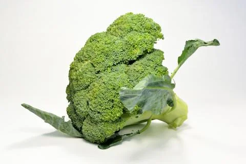 Broccoli isolated on white background Stock Photos