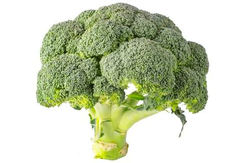 Broccoli isolated on white background Stock-Fotos