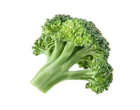 Broccoli isolated on white background Stock Photos