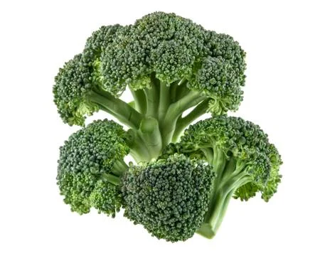 Broccoli isolated on white background Stock Photos