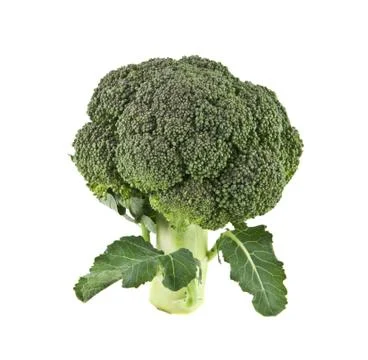 Broccoli isolated on white background Stock Photos