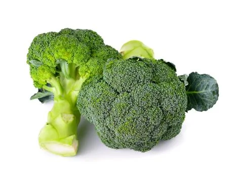 Broccoli isolated on white background Stock Photos
