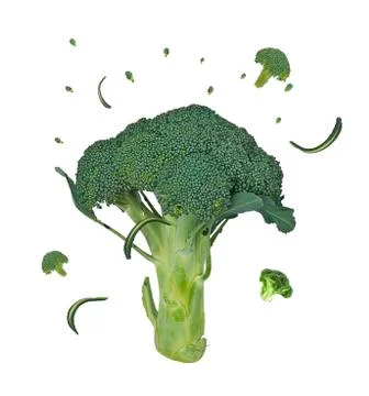 Broccoli isolated on white background Stock Photos