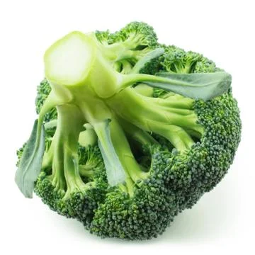 Broccoli isolated on white background Stock Photos
