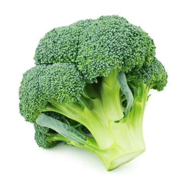 Broccoli isolated on white background Stock Photos