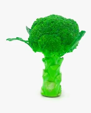 Broccoli isolated on white background Stock Photos