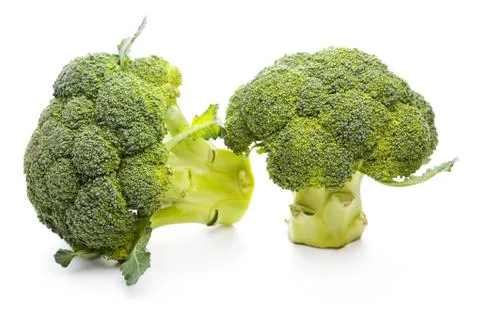 Broccoli isolated on white background Stock Photos