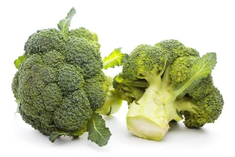 Broccoli isolated on white background Stock Photos