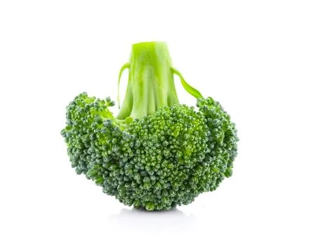 Broccoli isolated on white background Fotos de archivo
