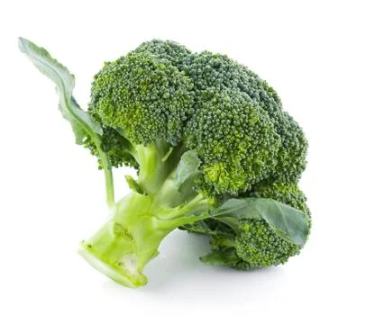 Broccoli isolated on white background 库存照片