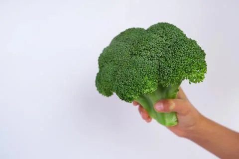 Broccoli isolated on white background Stock Photos