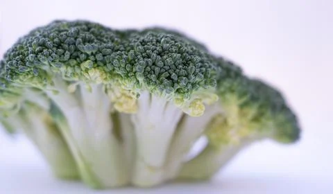 Broccoli isolated on white background Stock Photos