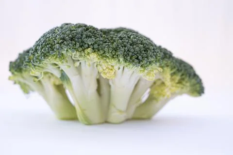 Broccoli isolated on white background Stock Photos
