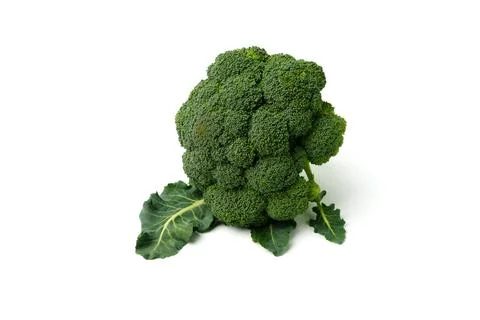 Broccoli isolated on white background. Stock Photos