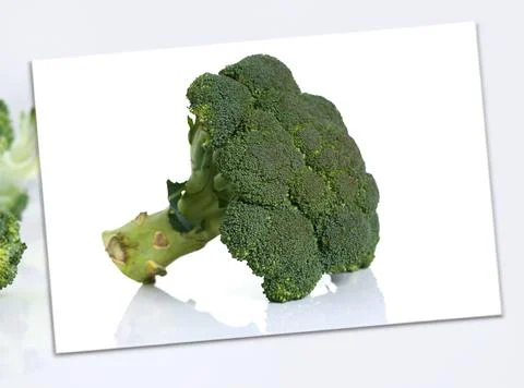 Broccoli isolated on white background Fotos de archivo