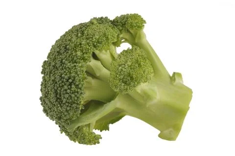 Broccoli isolated on white background Stock Photos