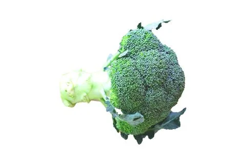 Broccoli isolated on white background for use as image resource. Stock Photos