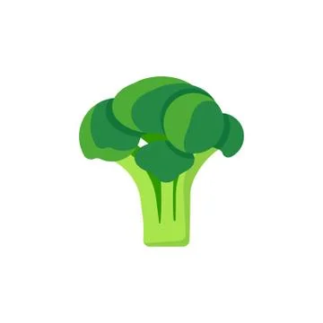 Broccoli isolated on white background. Vector illustration. Stock Illustration
