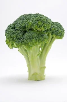 Broccoli isolated on white Stock Photos