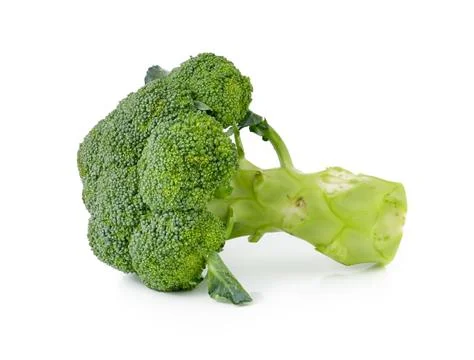 Broccoli isolated on white Stock Photos