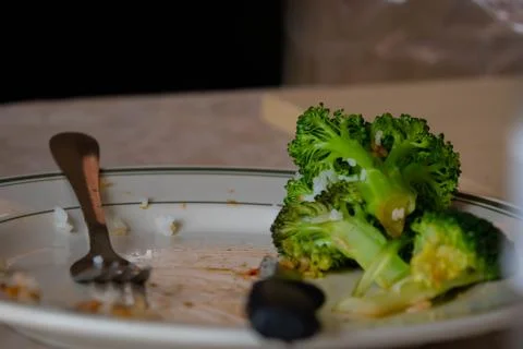 Broccoli left on the dinner plate. Stock Photos