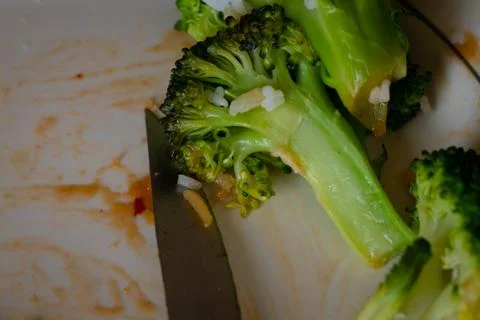 Broccoli left on the dinner plate. Stock Photos