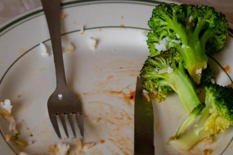 Broccoli left on the dinner plate. Stock Photos