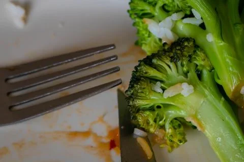 Broccoli left on the dinner plate. Stock Photos