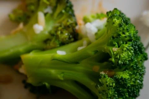 Broccoli left on the dinner plate. Stock Photos